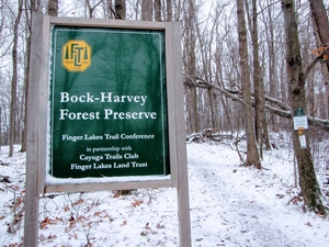 Bock-Harvey Nature Preserve photo